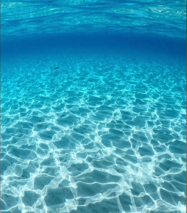 La Dolce Vita , Fronte Mare Castelsardo Exteriör bild
